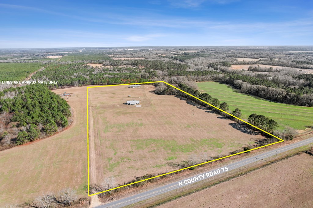 5430 North County 75 Road Columbia, AL 36319 - Photo 4 of 58