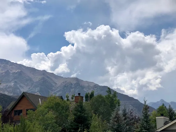 a view of backyard with green space