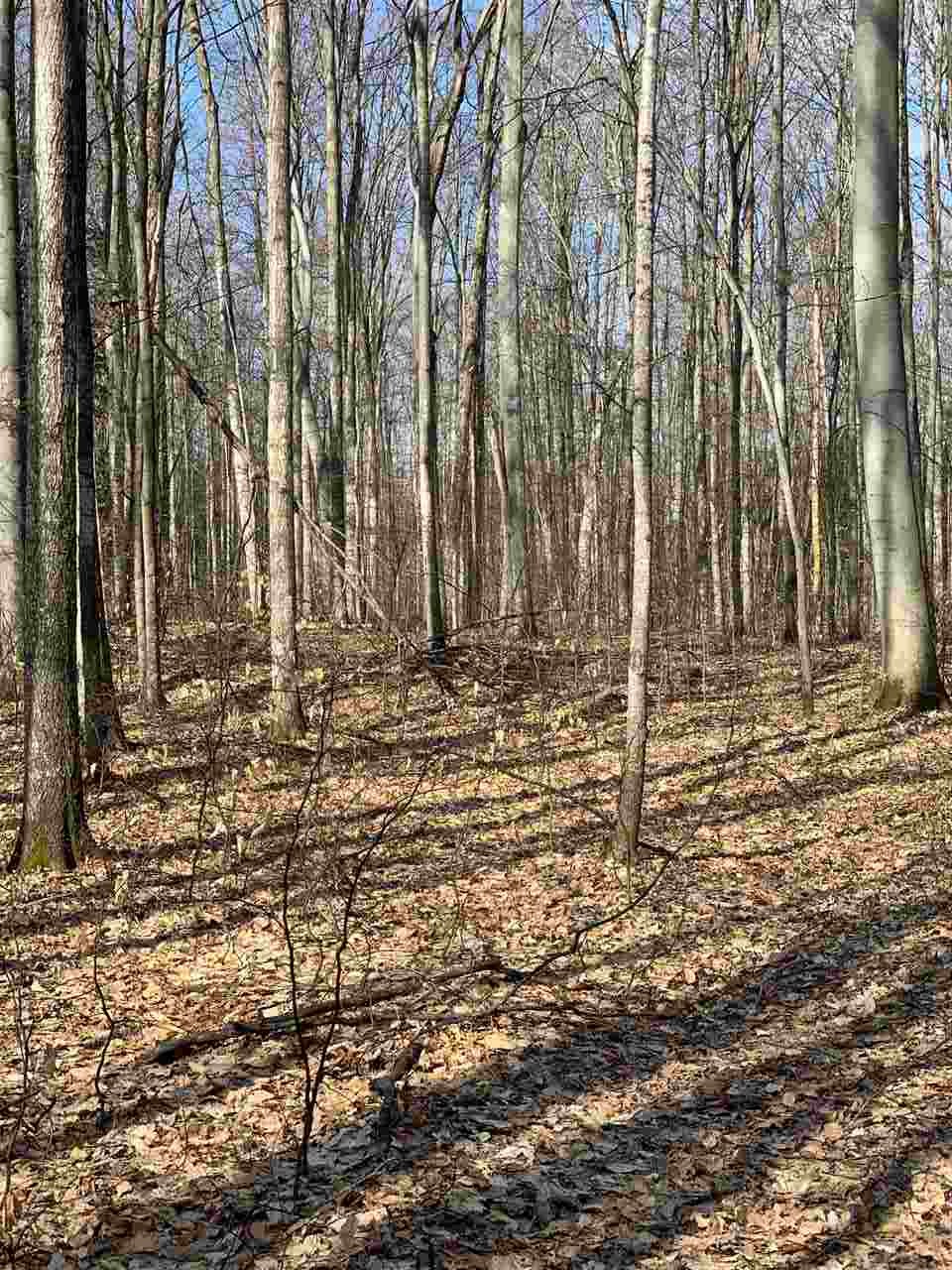 8633 Reynolds Road Traverse City, MI 49684 - Photo 8 of 21 1884995-7.JPG