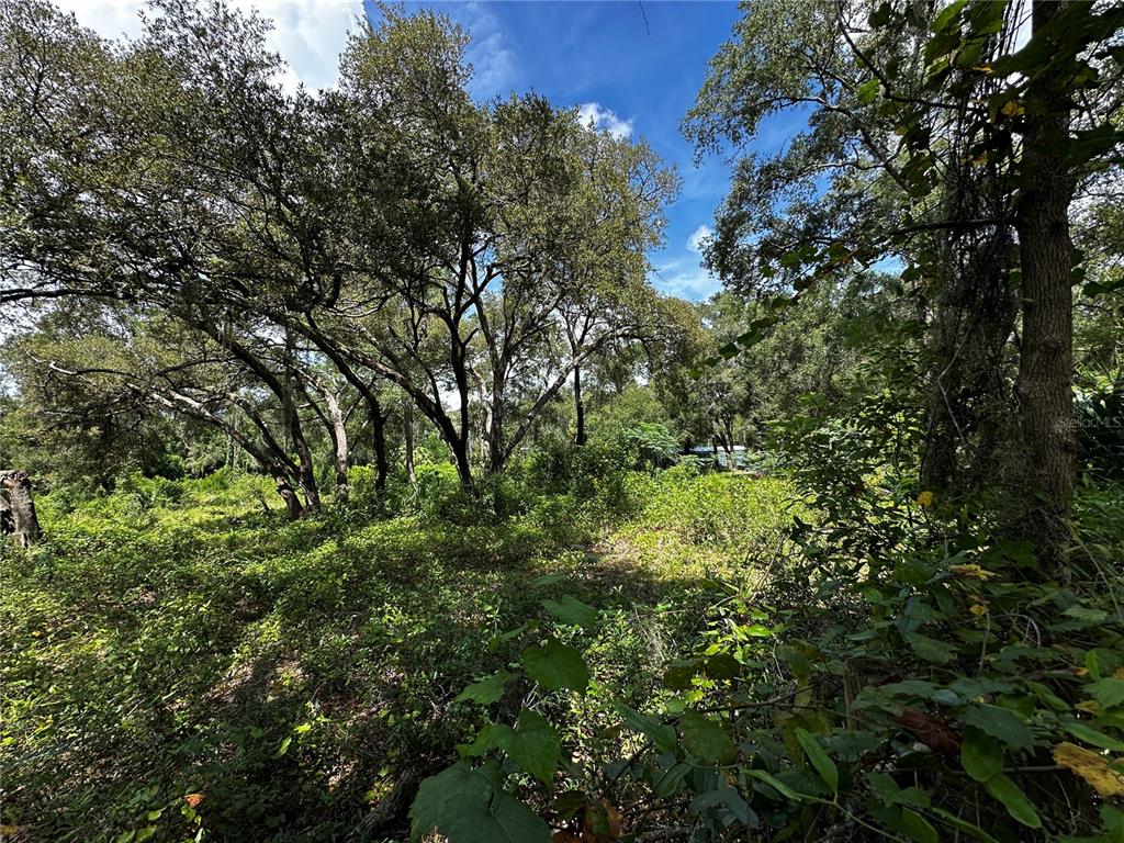 418 North Pine Street Bronson, FL 32621 - Photo 21 of 61 Gallery Image 21