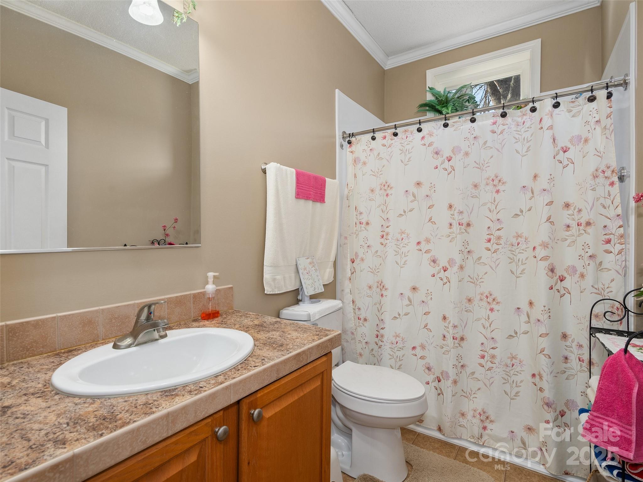 70 Pierce Elders Road Whittier, NC 28789 - Photo 16 of 36 a bathroom with a sink toilet and shower