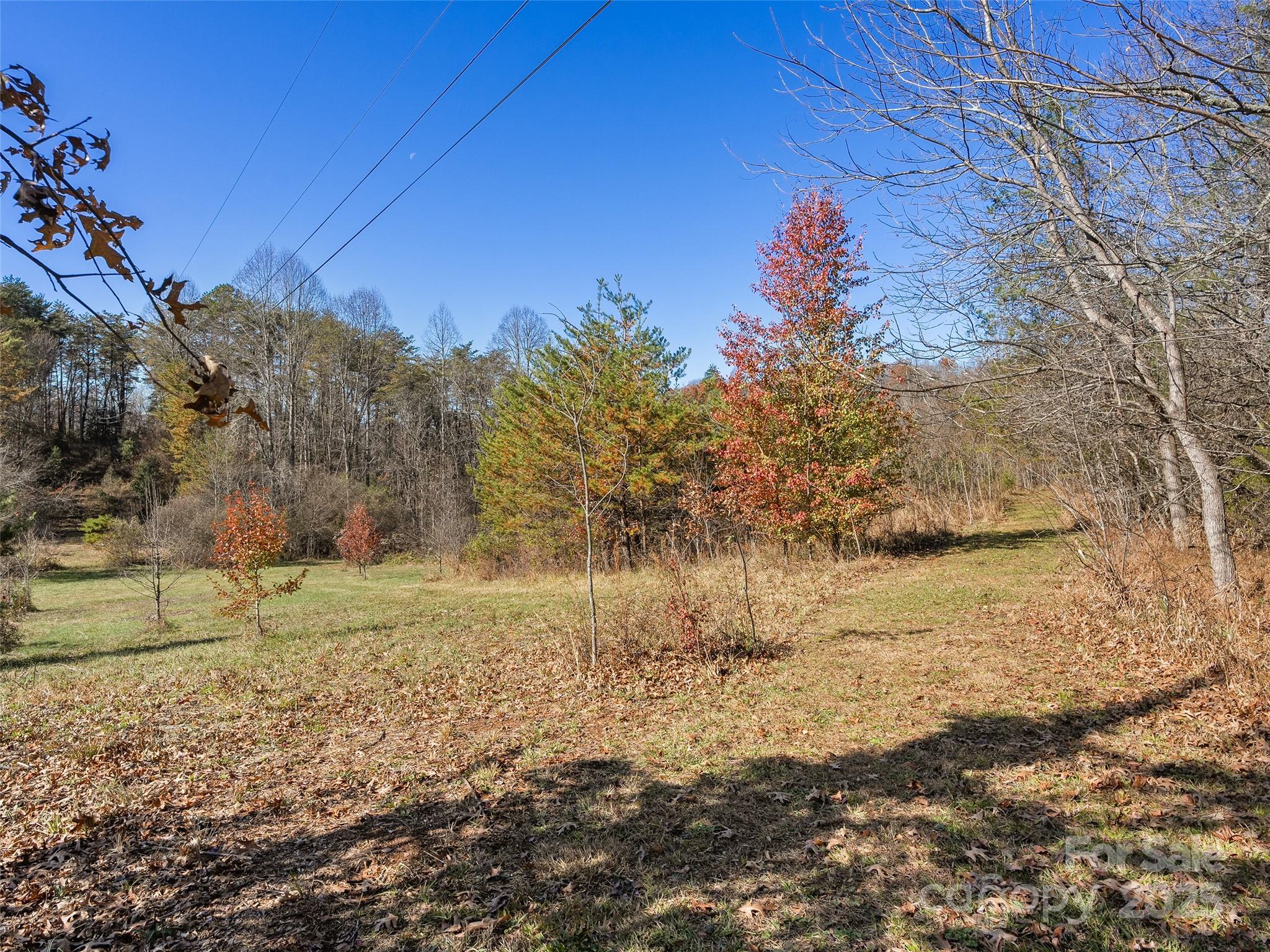 70 Pierce Elders Road Whittier, NC 28789 - Photo 30 of 36 a view of a yard with wooden fence