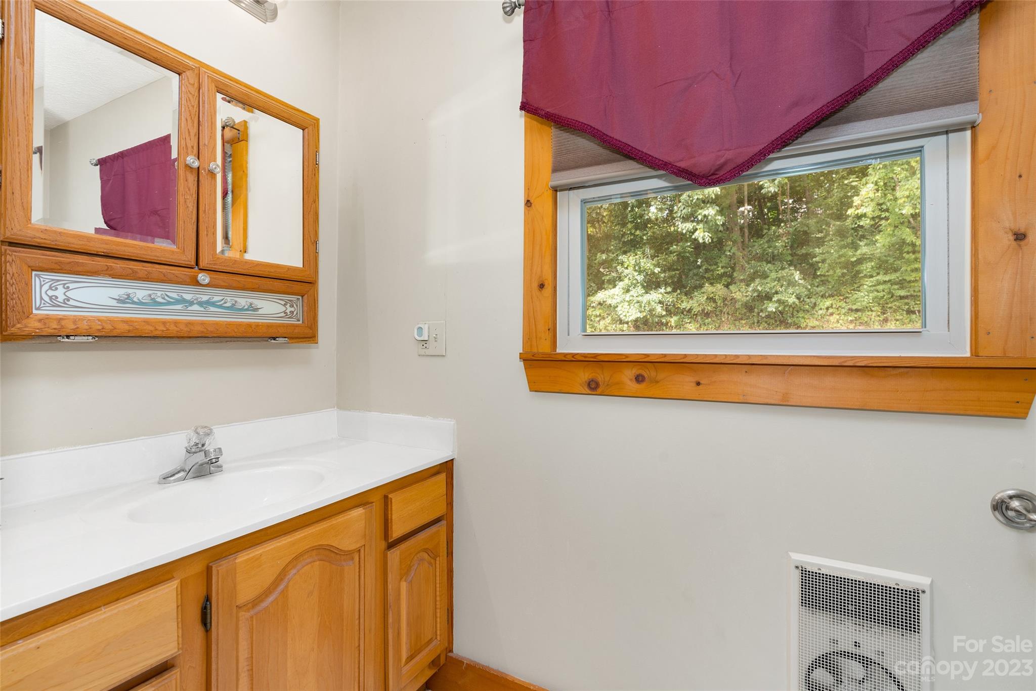 243 Penland Street Clyde, NC 28721 - Photo 20 of 20 a bathroom with a sink vanity and a mirror