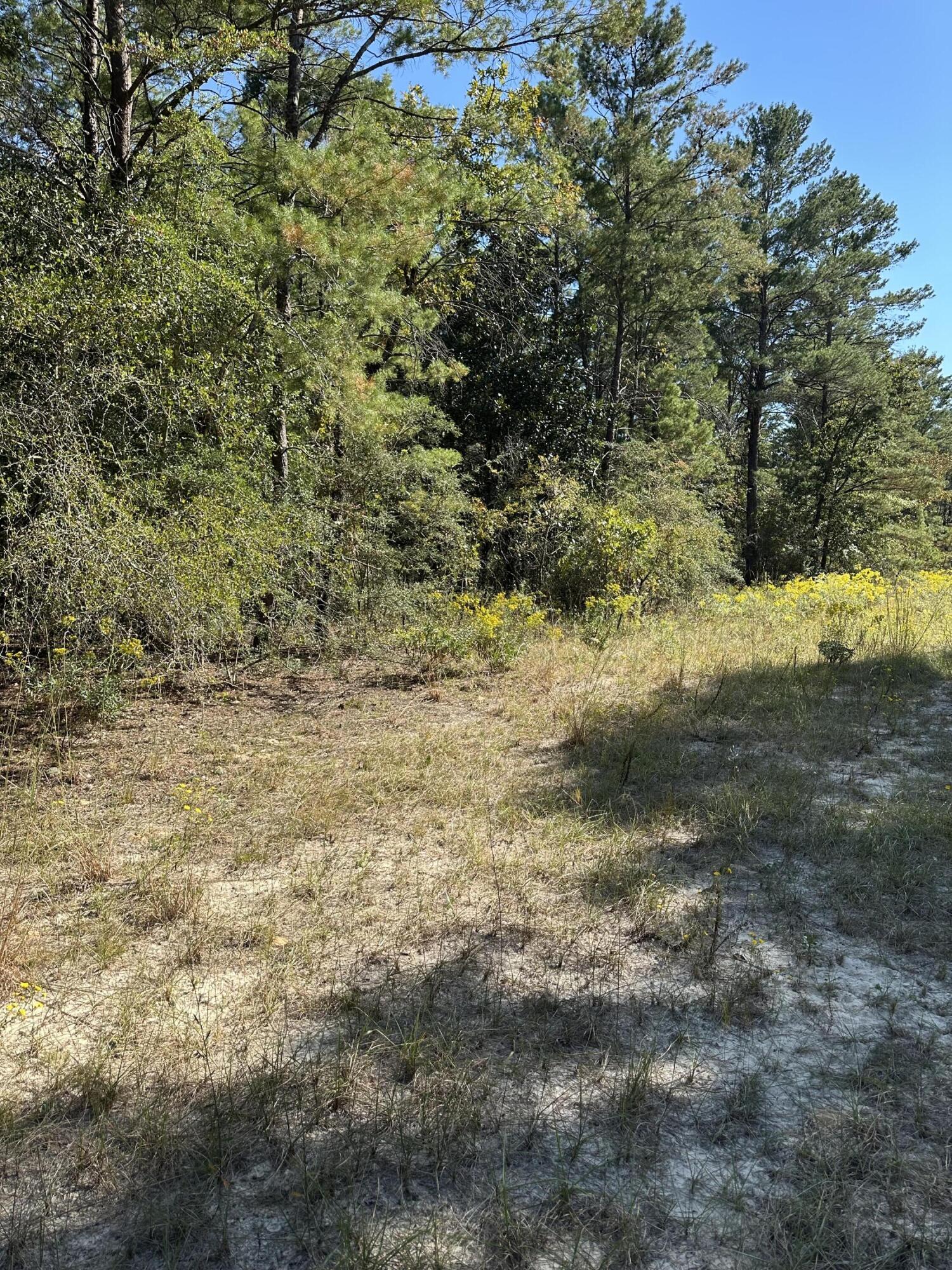 134 Post Oak Road DeFuniak Springs, FL 32433 - Photo 4 of 8 a view of a yard with trees