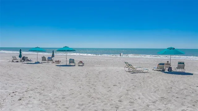 a view of a ocean with a palm tree