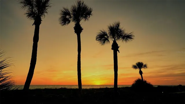 $6,000 | Undisclosed Address, Longboat Key, FL 34228