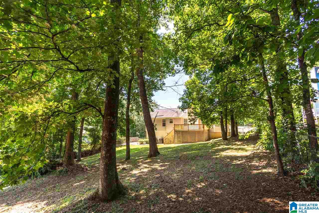 7194 Brandon Circle Pinson, AL 35126 - Photo 38 of 46