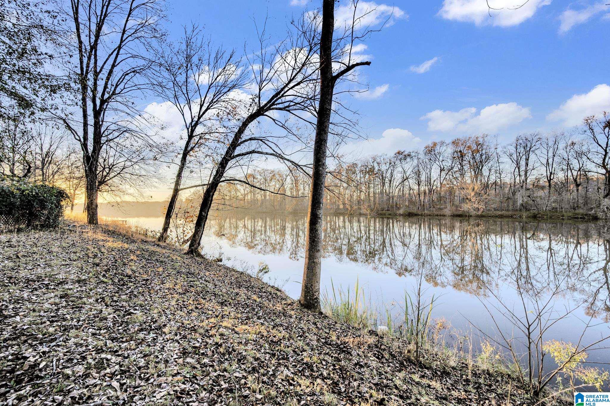 135 River Run Road Childersburg, AL 35044 - Photo 31 of 40