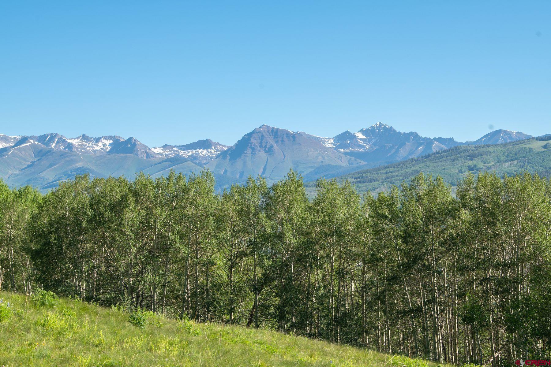 2177 Aspen Mountain Road Almont, CO 81210 - Photo 10 of 20