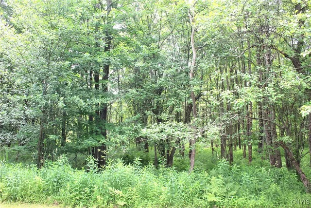 $179,900 | 1286 Milk Road, Osceola, NY 13316