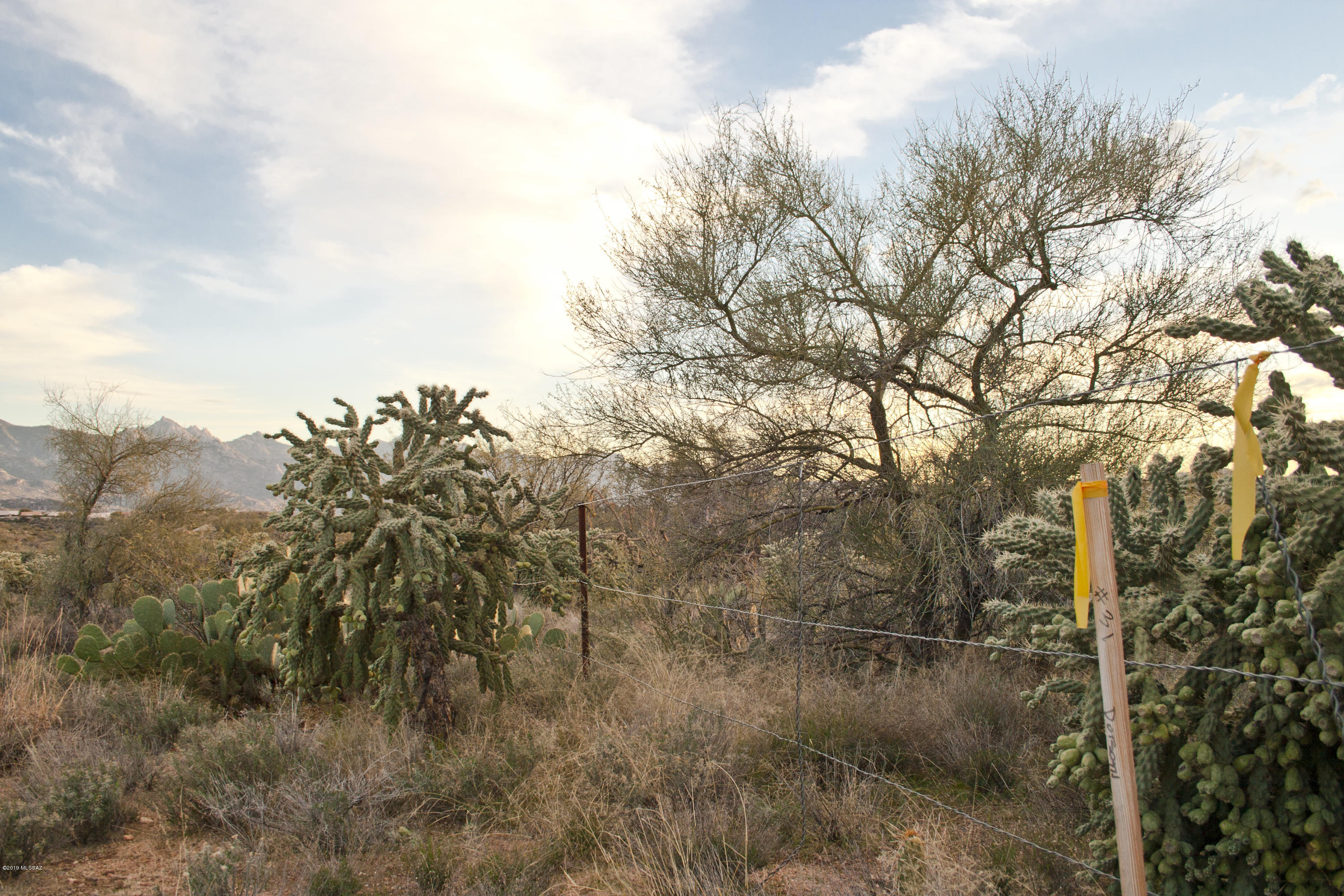 0 East Horseshoe Bend Road, Unit B Tucson, AZ 85739 - Photo 8 of 8 The lots themselves have also been staked for boundary identification. The listing agent is also available to show the lots and help determine boundaries.