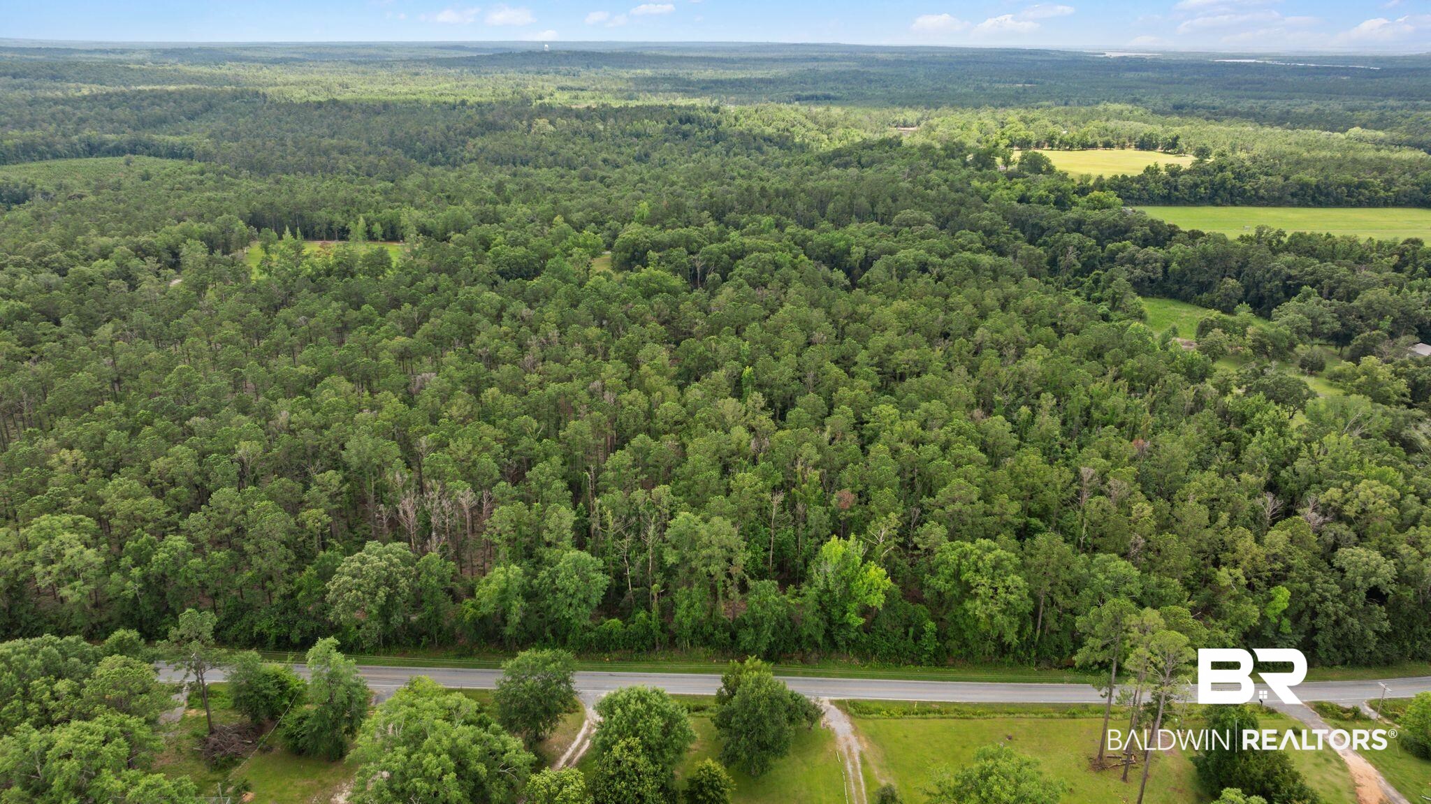 0 Hurricane Road Bay Minette, AL 36507 - Photo 20 of 30
