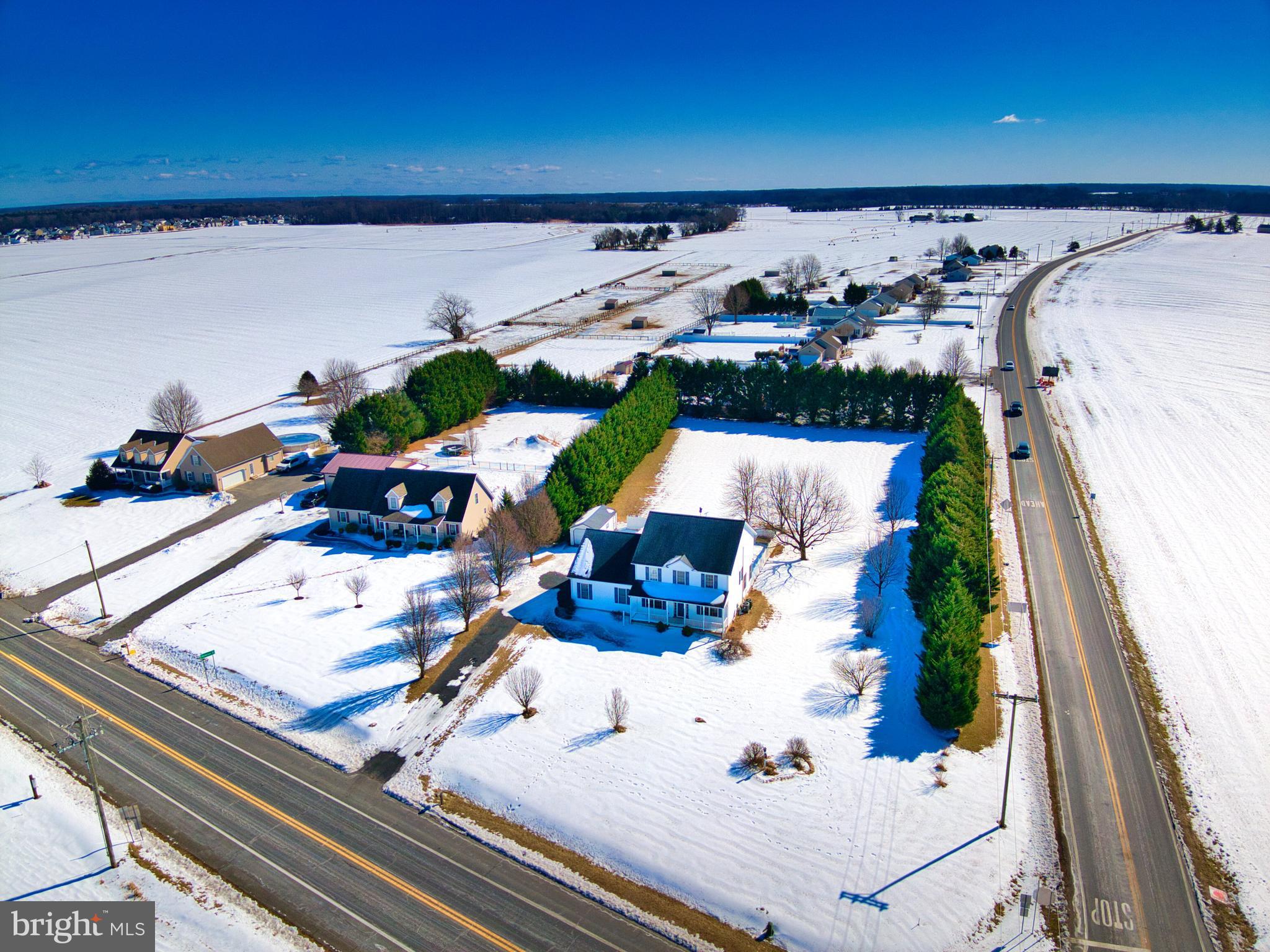 2412 Midstate Road Felton, DE 19943 - Photo 67 of 93 Expansive Mature Natural Fence