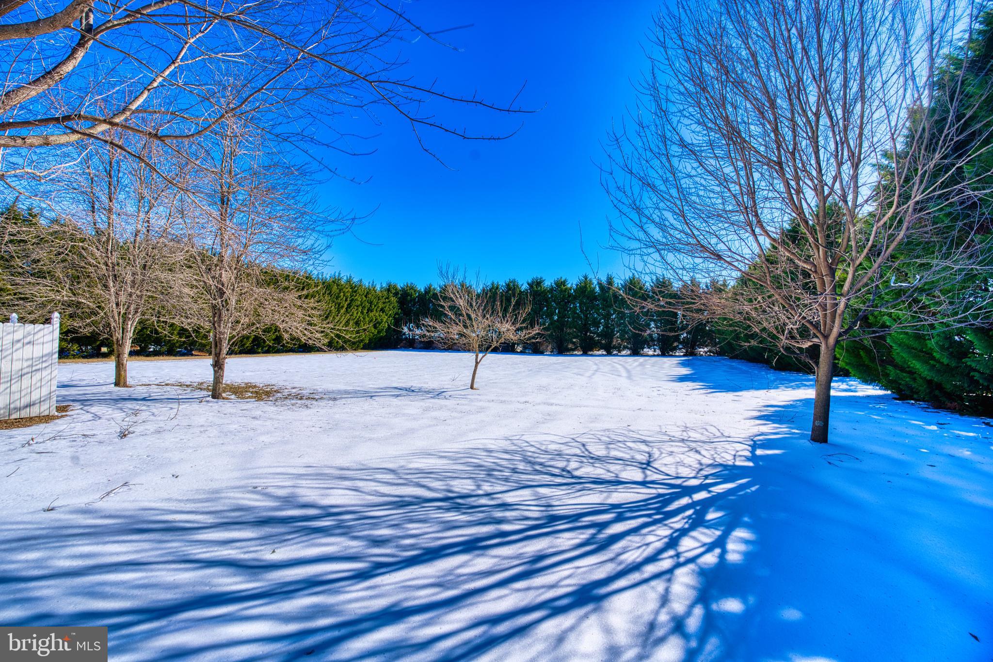 2412 Midstate Road Felton, DE 19943 - Photo 78 of 93