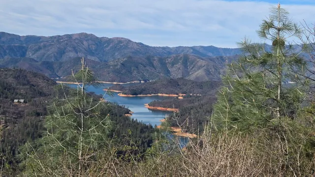 a view of a house with a mountain and a forest