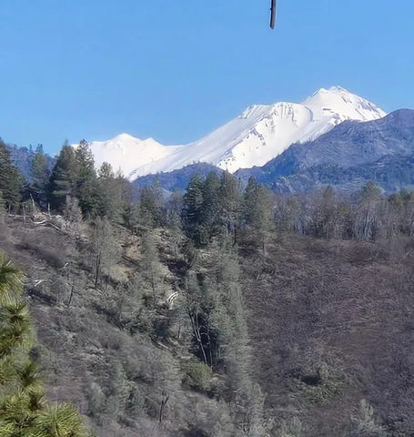 a view of a dry yard with mountains in the background