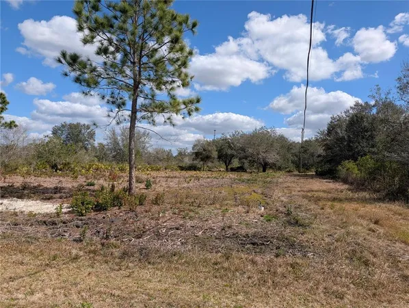 a view of a field