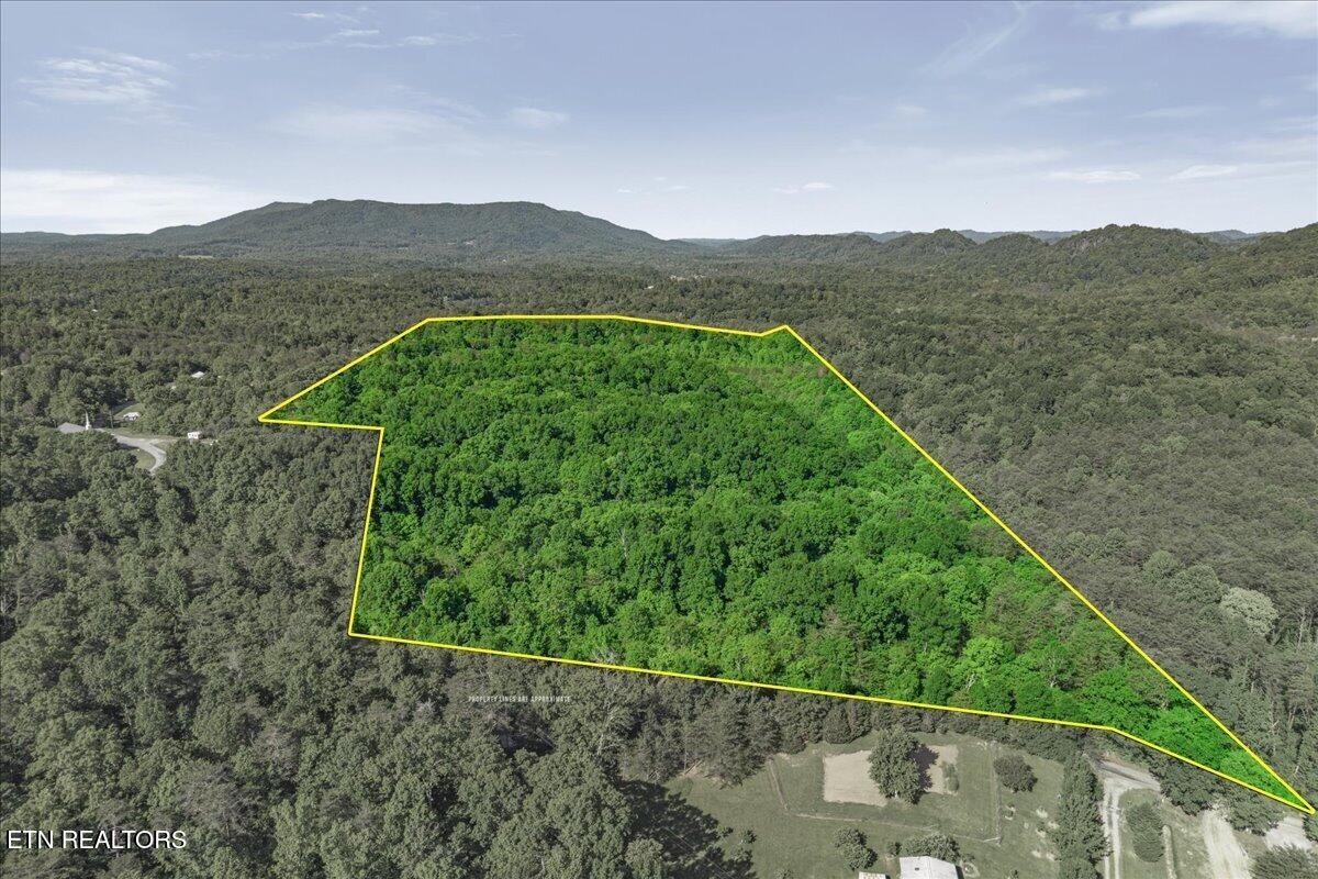 0 Shaddon Road Tellico Plains, TN 37385 - Photo 9 of 17 a view of a lush green hillside and a houses