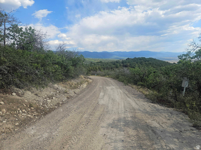 6 South Red Fox Way West, Unit 6 Fairview, UT 84629 - Photo 6 of 11 Gravel road featuring natural vegetation and expansive mountain backdrop