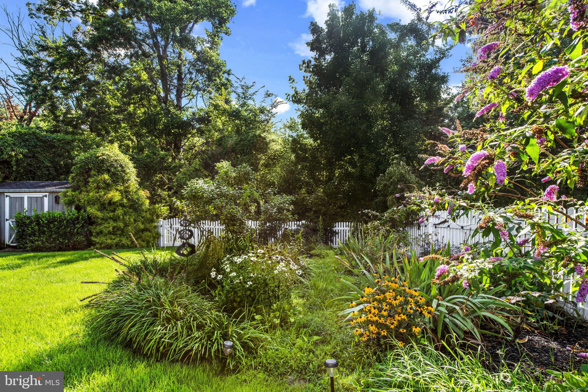3314 Upton Road Parkville, MD 21234 - Photo 6 of 10 Rear Yard