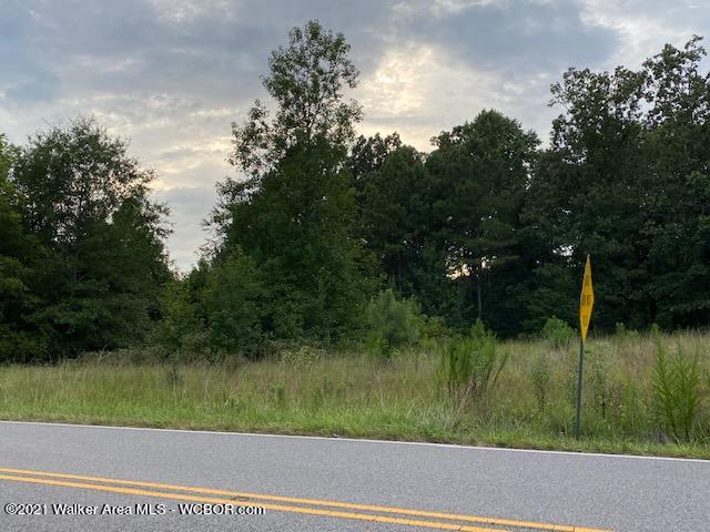 Newburg Road Haleyville, AL 35565 - Photo 2 of 4 Gallery Image 2