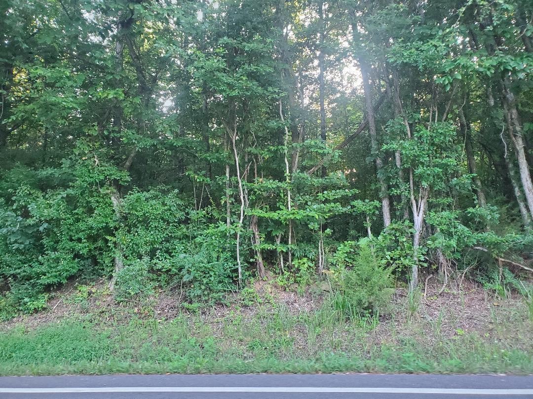 9 Highway 304 Decatur, TN 37322 - Photo 1 of 2