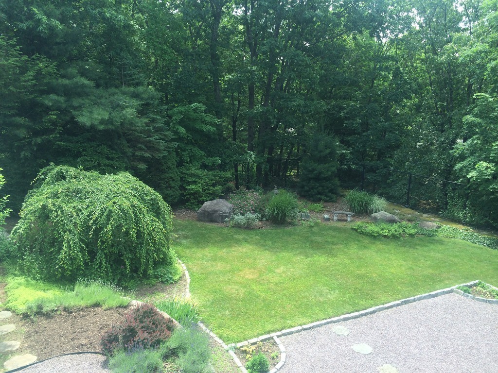 22 Cranmore Road Wellesley, MA 02481 - Photo 19 of 22 a view of a green field with plants