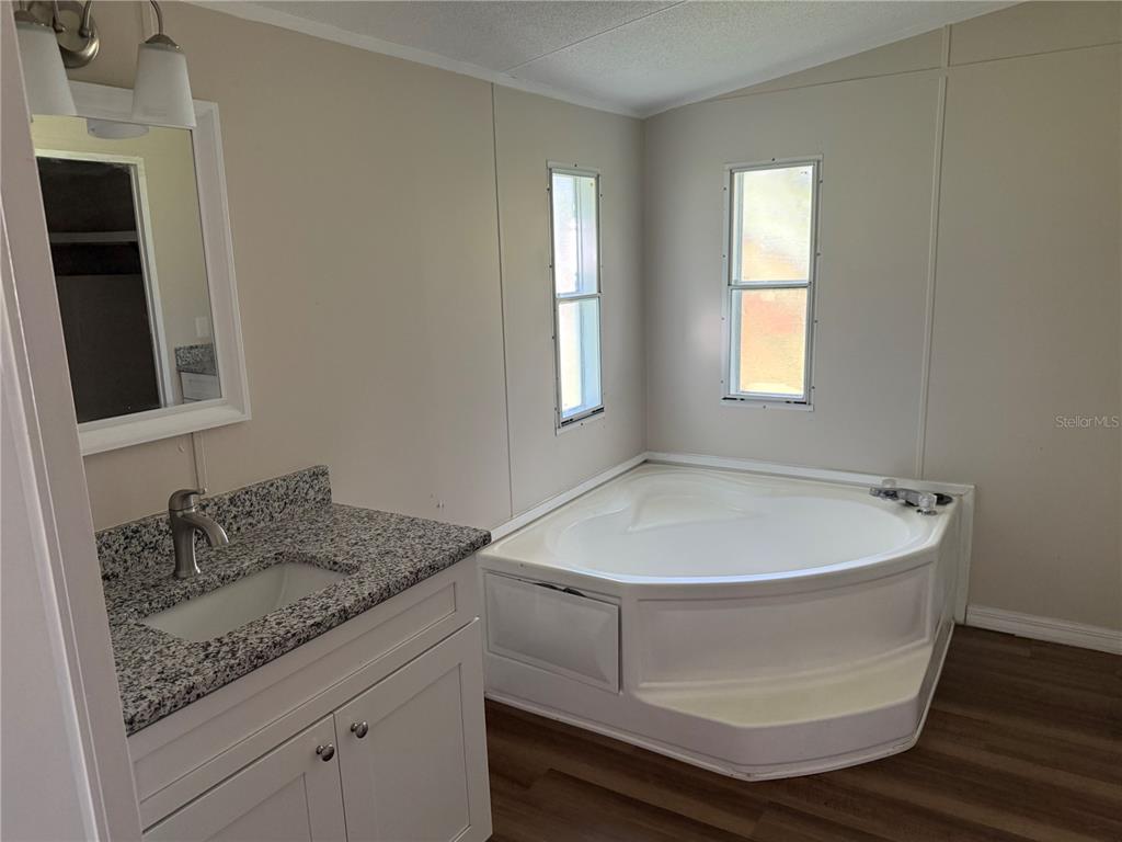 4113 Shady View Run Mulberry, FL 33860 - Photo 11 of 17 a bathroom with a granite countertop sink and mirror