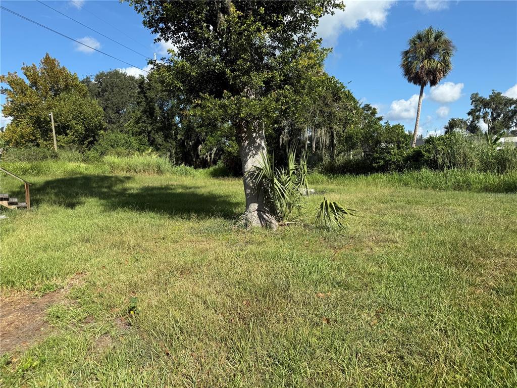 4113 Shady View Run Mulberry, FL 33860 - Photo 16 of 17 a backyard of a house with lots of green space