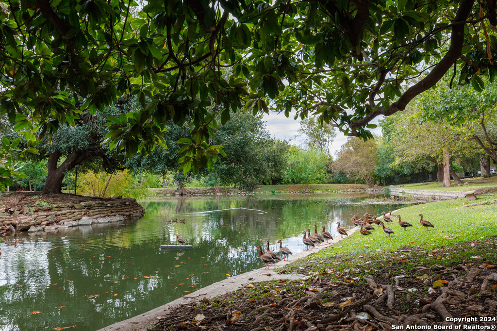 7711 Callaghan Road, Unit 104 San Antonio, TX 78229 - Photo 24 of 25