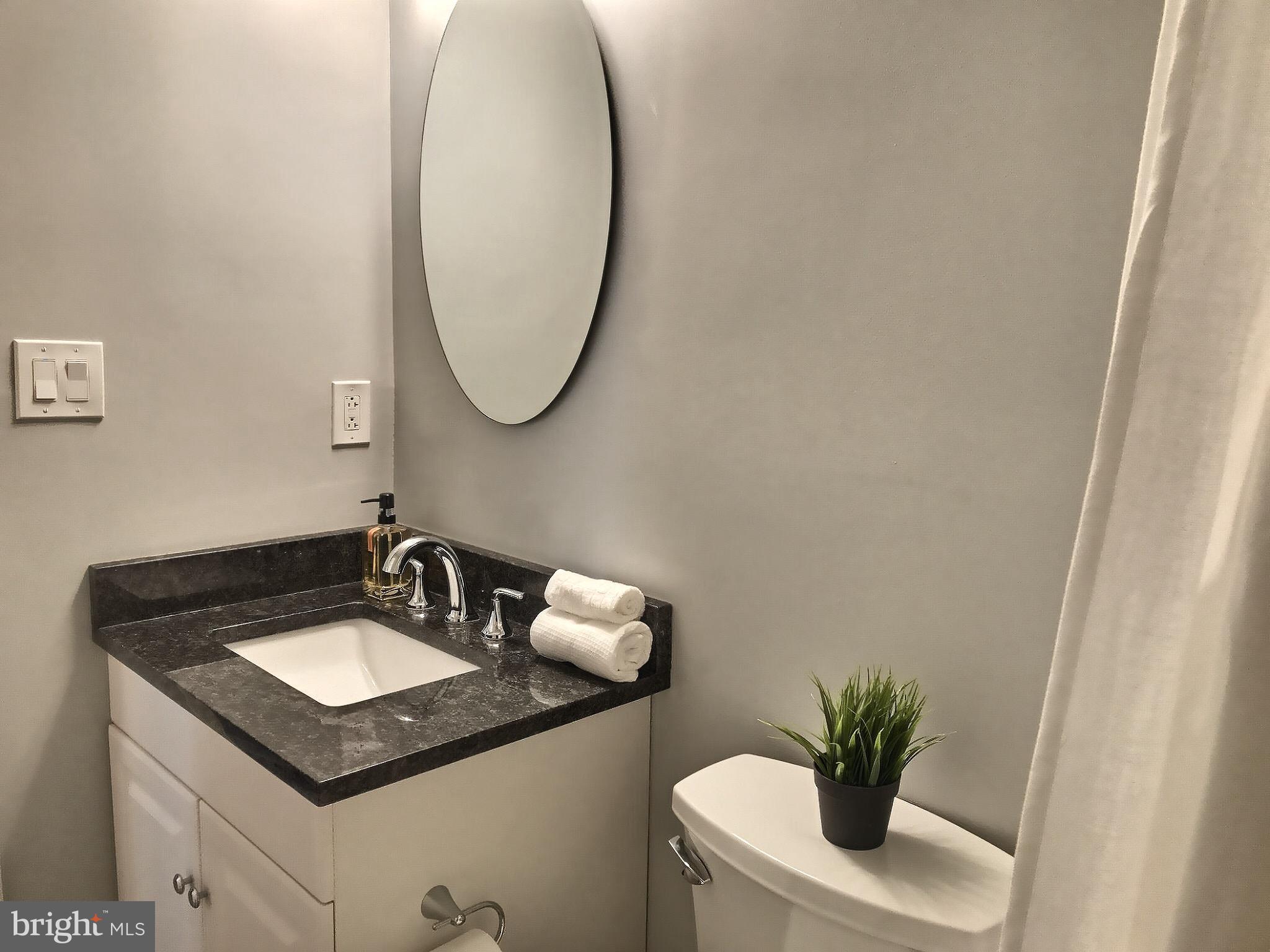 413 Sharp Street South, Unit R7 Baltimore, MD 21230 - Photo 13 of 31 Granite countertop vanity