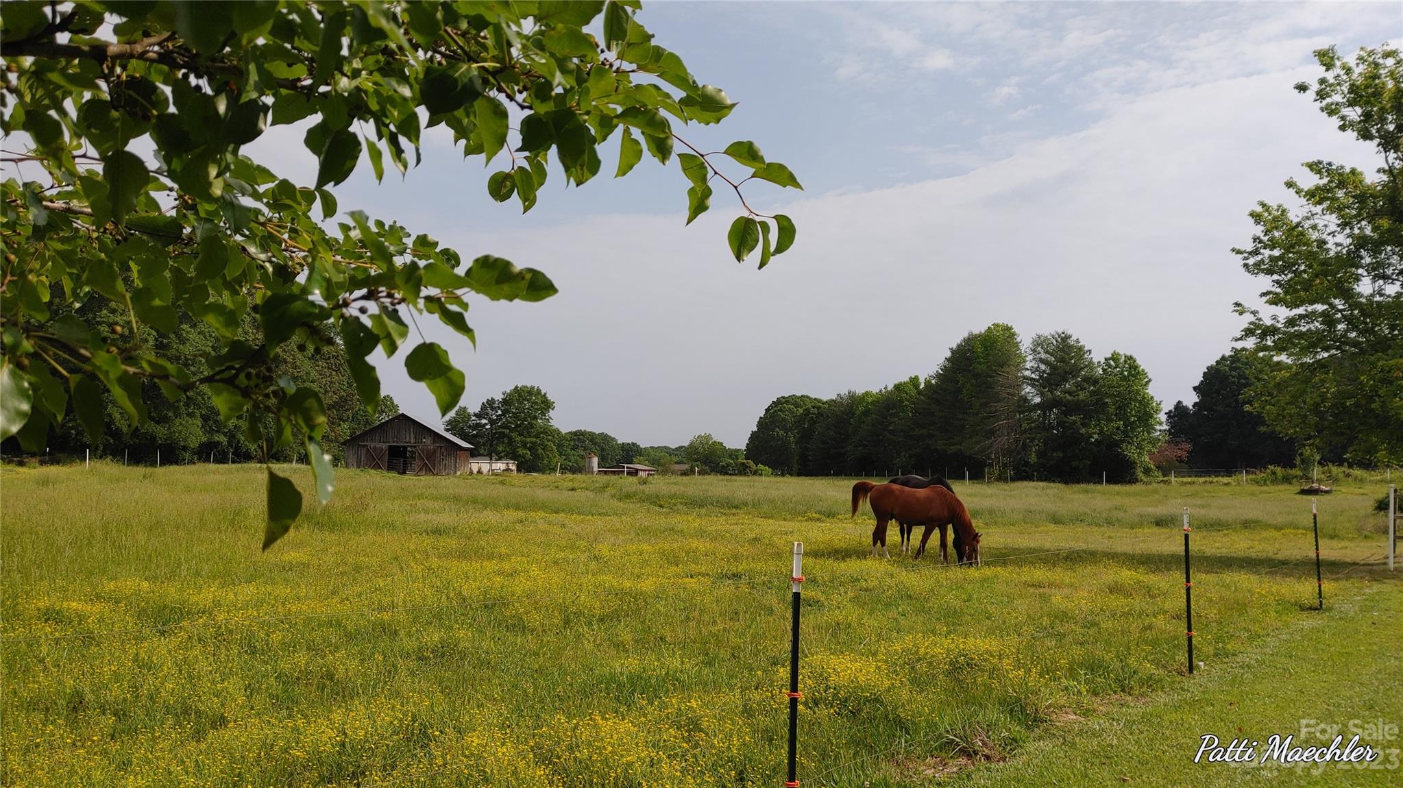 425 Baucom Road Monroe, NC 28110 - Photo 5 of 48