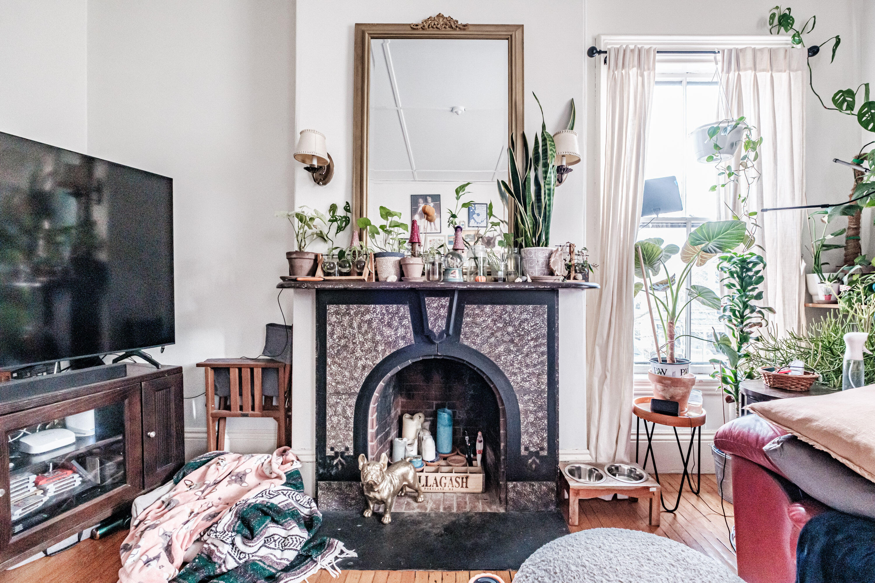 105 Pine Street Portland, ME 04102 - Photo 20 of 35 20251124gp-60083