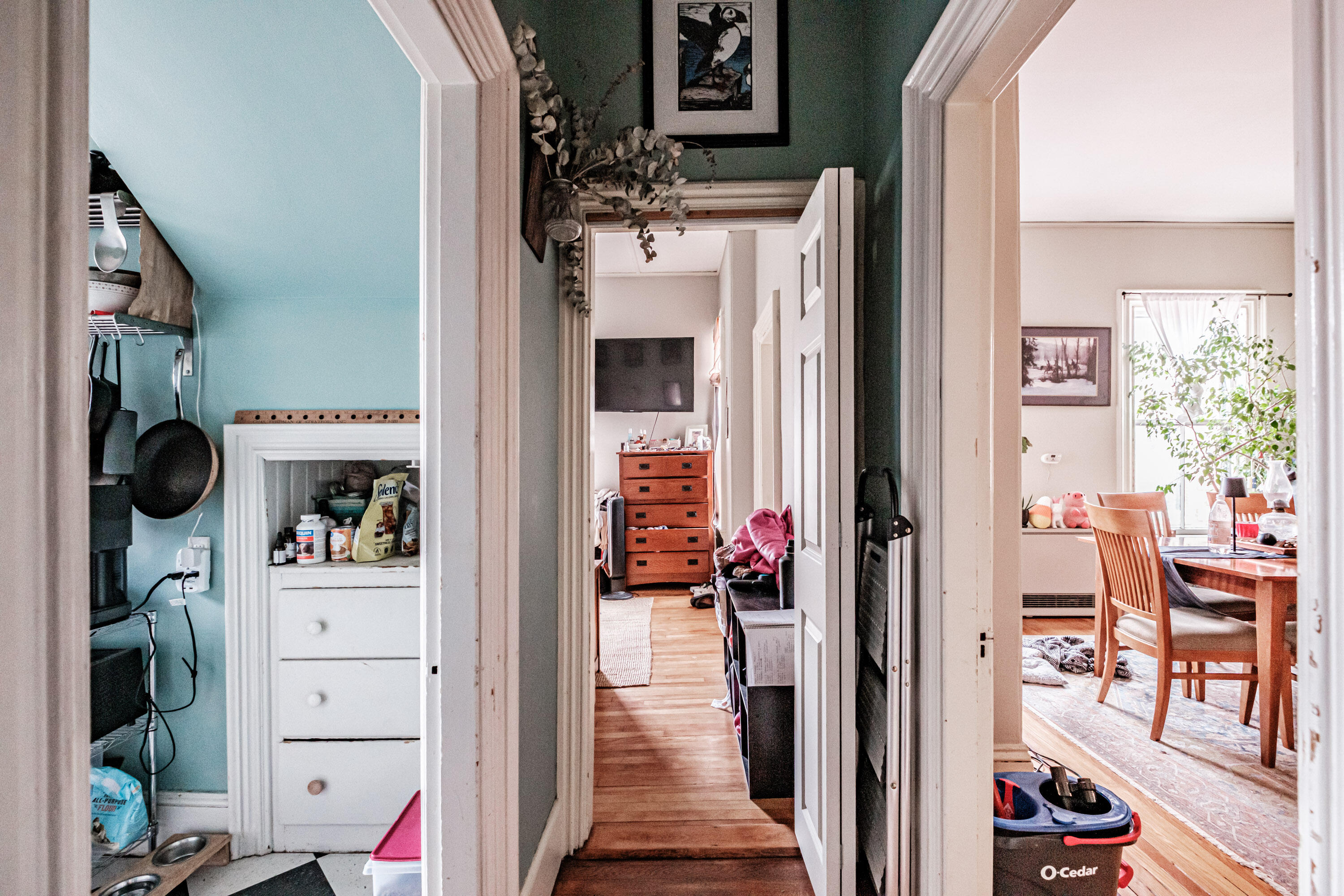 105 Pine Street Portland, ME 04102 - Photo 24 of 35 20251124gp-60094