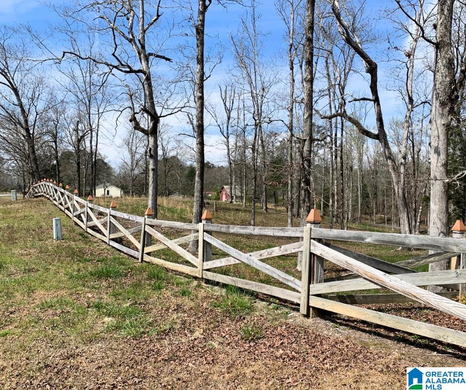 3745 Highway 144 Ohatchee, AL 36271 - Photo 3 of 47