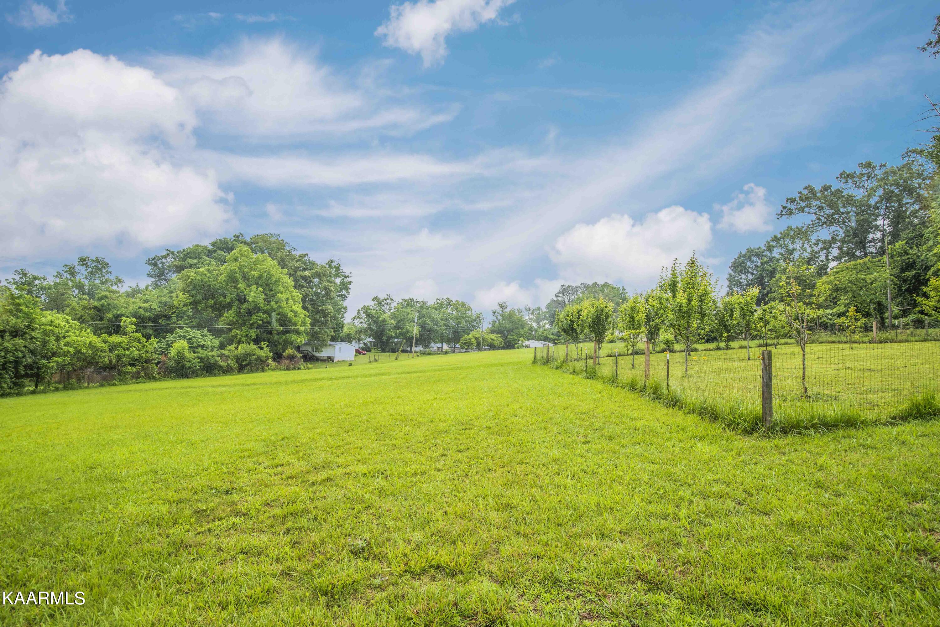 2136 Harris Road Knoxville, TN 37924 - Photo 33 of 43 yard 3_1