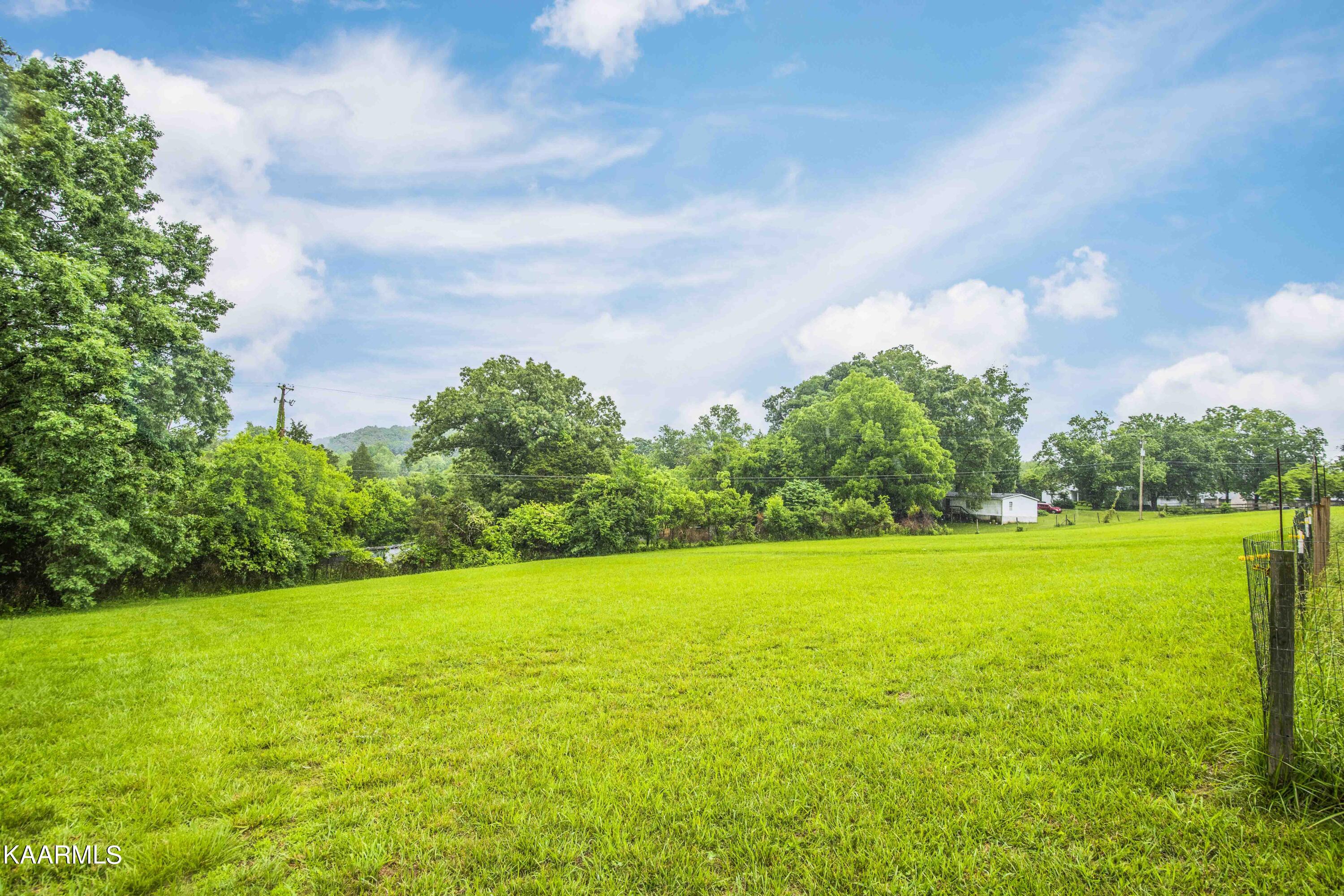 2136 Harris Road Knoxville, TN 37924 - Photo 34 of 43 yard 4_1