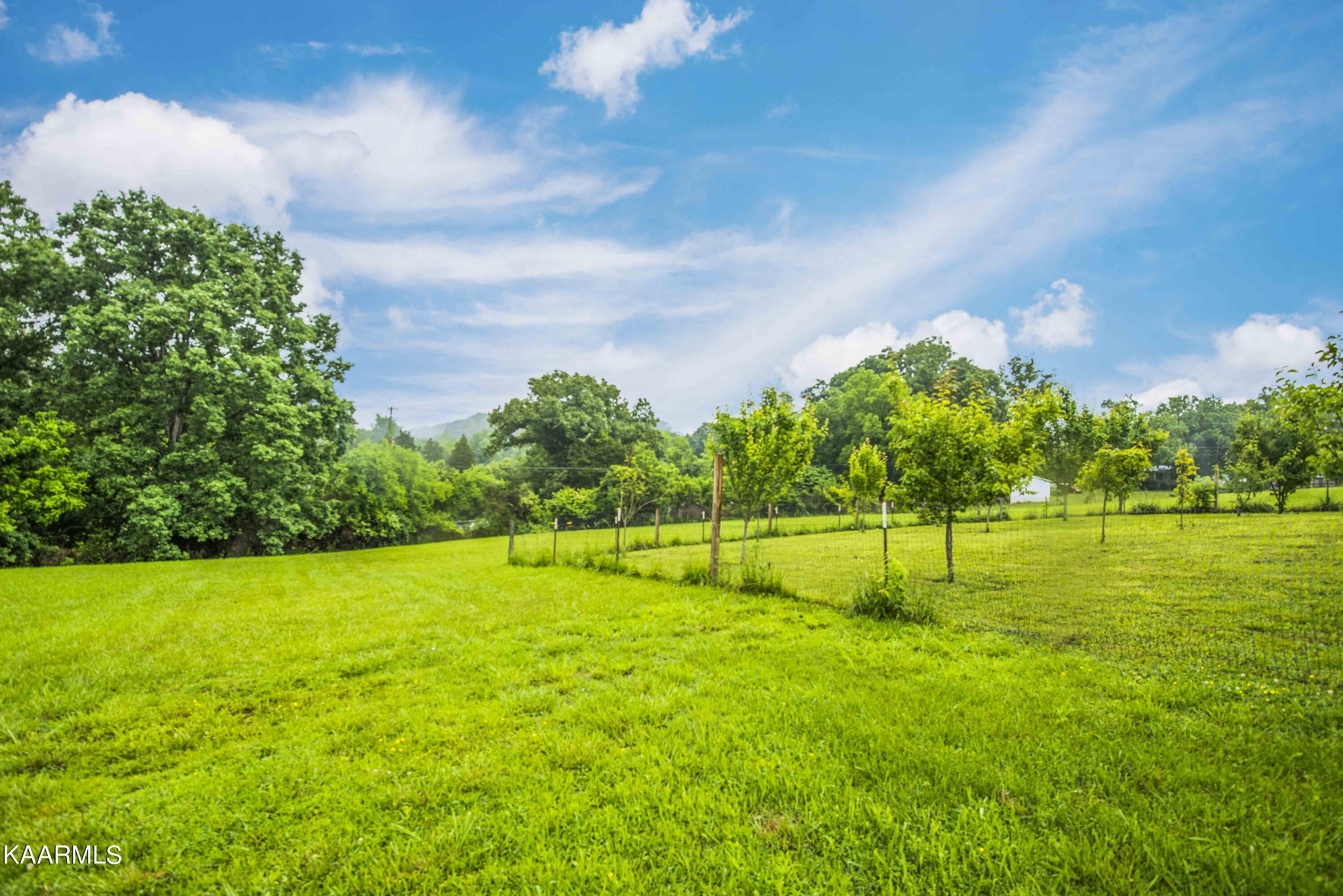 2136 Harris Road Knoxville, TN 37924 - Photo 37 of 43 yard 7_1