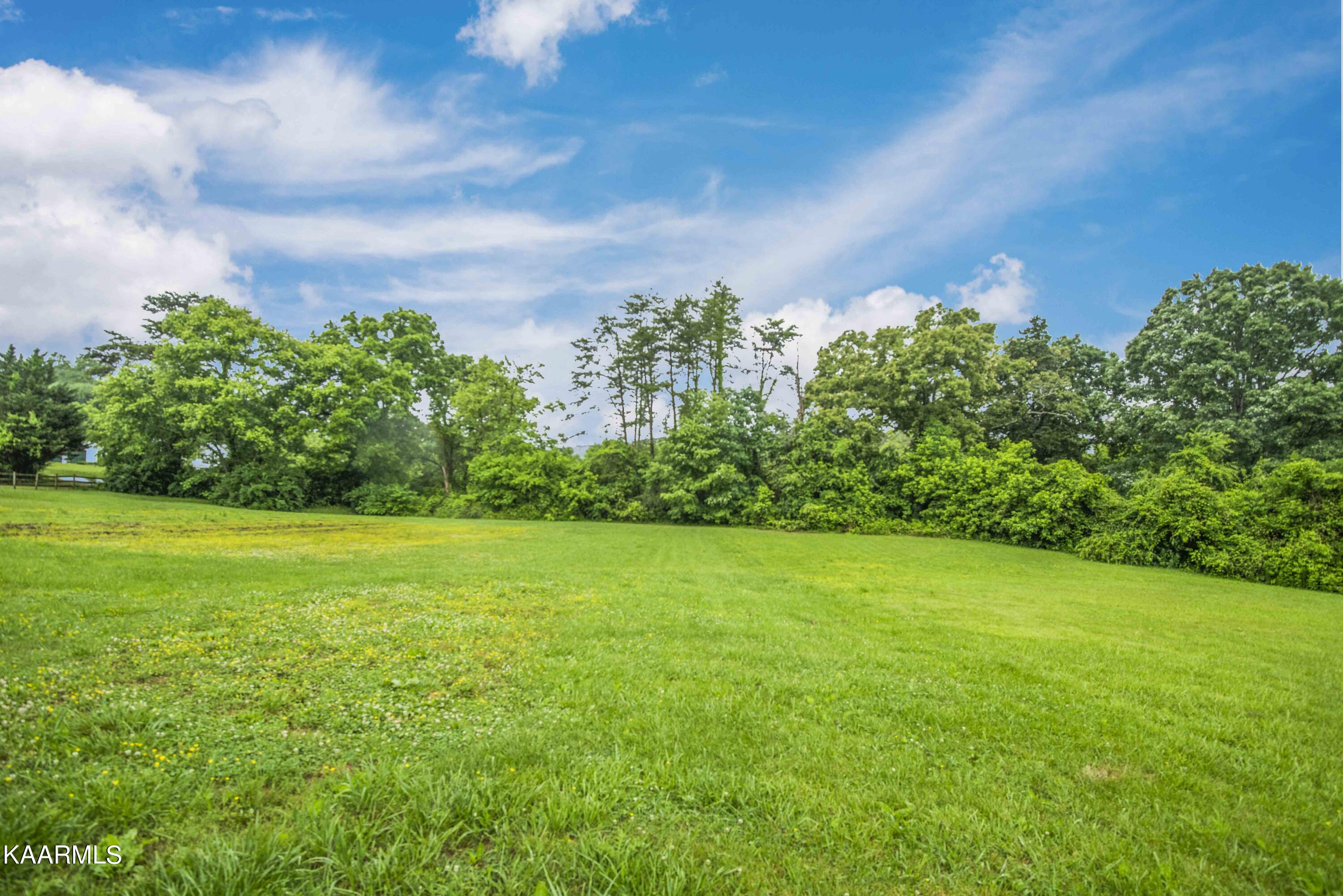 2136 Harris Road Knoxville, TN 37924 - Photo 38 of 43 yard 8_1