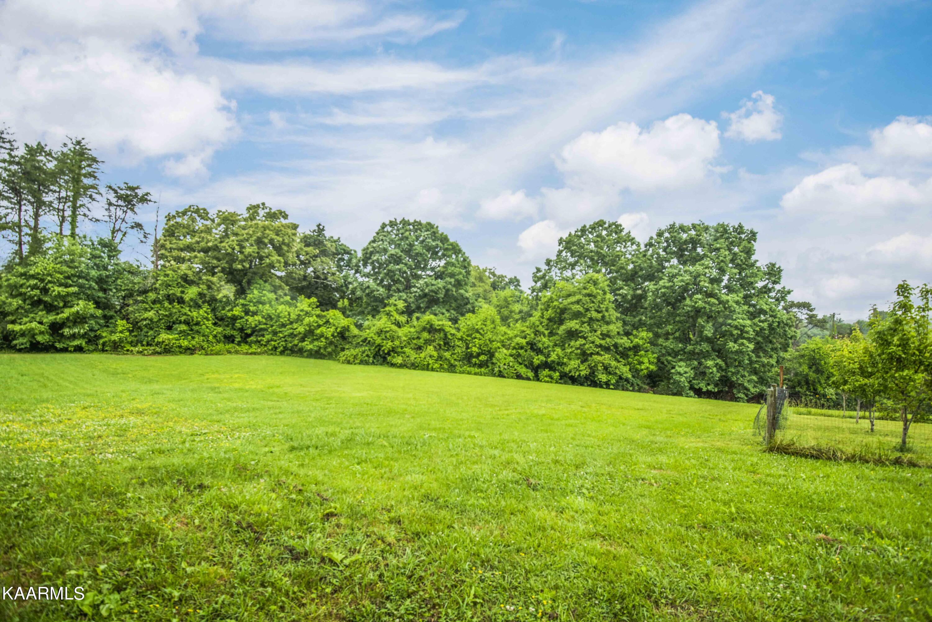 2136 Harris Road Knoxville, TN 37924 - Photo 39 of 43 yard 9_1