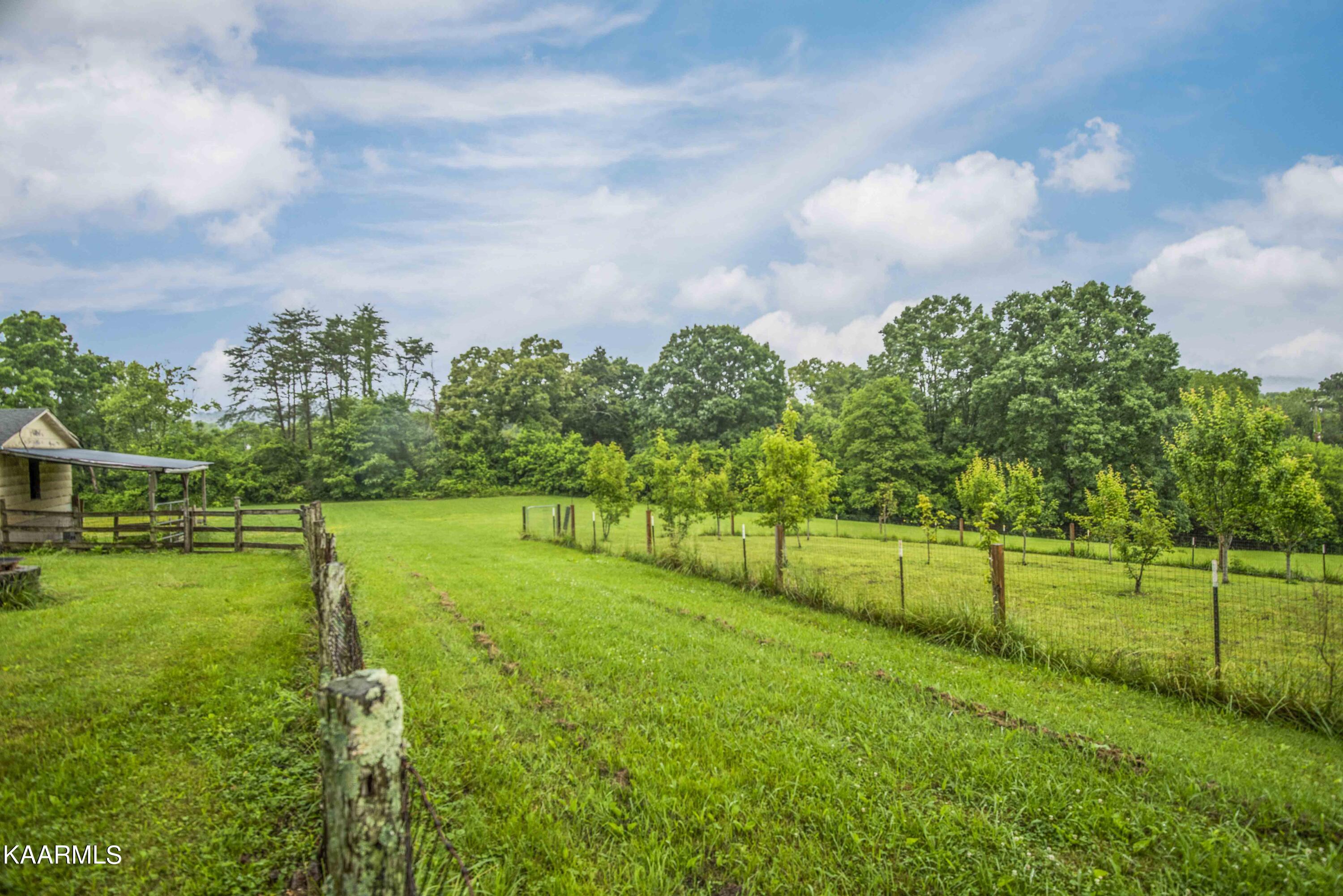 2136 Harris Road Knoxville, TN 37924 - Photo 40 of 43 yard 11_1