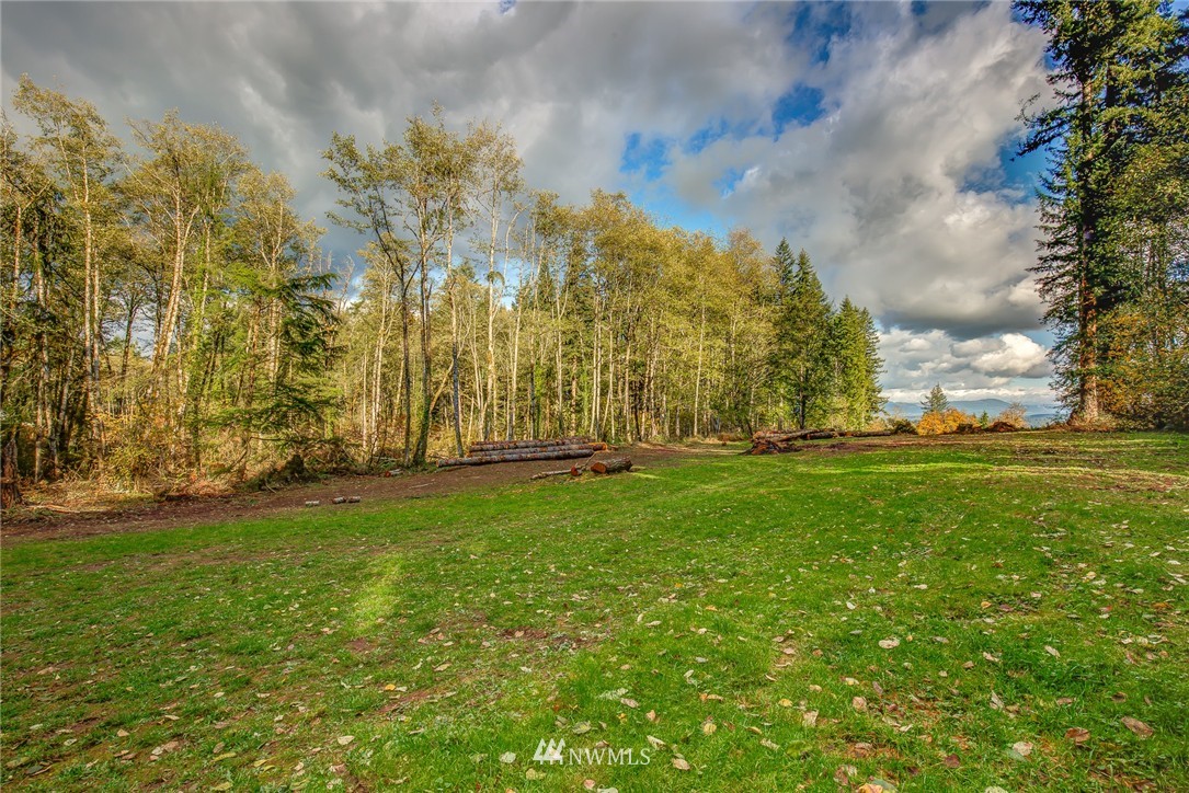 334 South Silver Lake Road Castle Rock, WA 98611 - Photo 11 of 14 Gallery Image 11