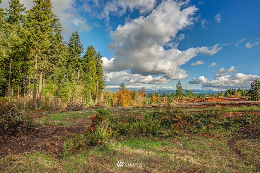 334 South Silver Lake Road Castle Rock, WA 98611 - Photo 12 of 14 Gallery Image 12