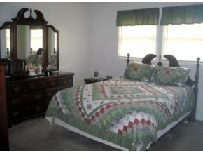 117 Parsonage Road Elizabethton, TN 37643 - Photo 7 of 14 Master bedroom