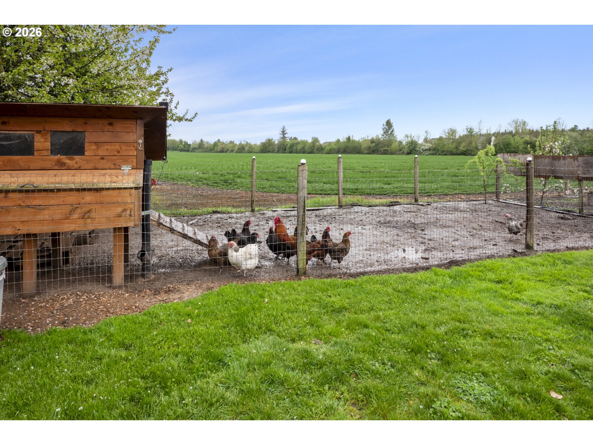13986 South Vick Road Molalla, OR 97038 - Photo 40 of 46 Gallery Image 40