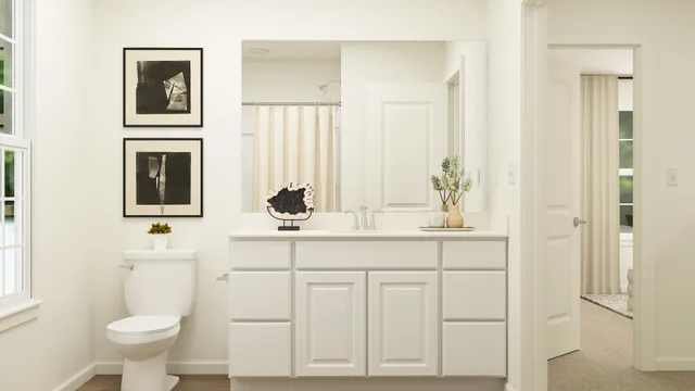 a bathroom with a sink and a toilet