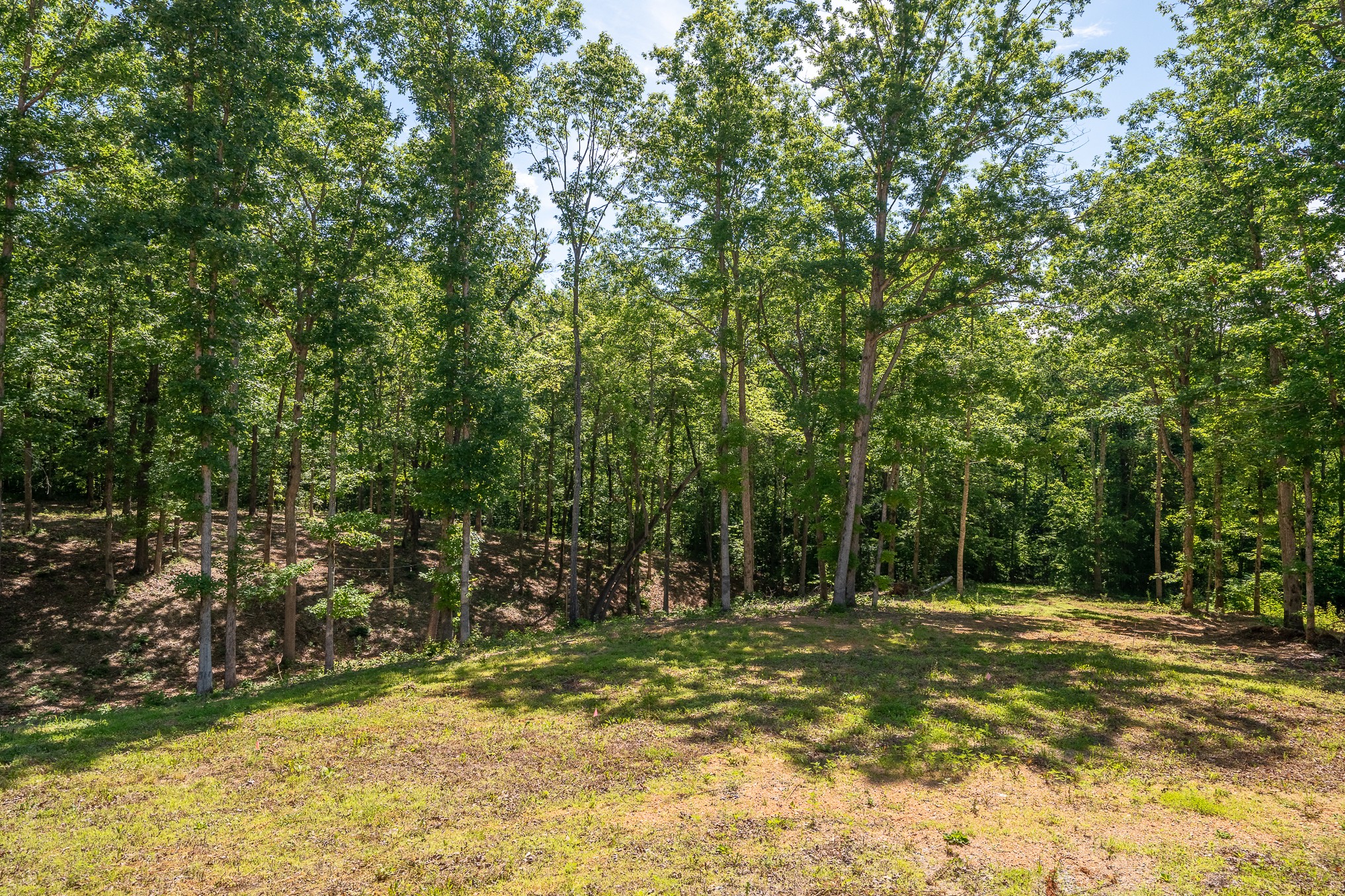 1239 Cherokee Road Waynesboro, TN 38485 - Photo 8 of 36