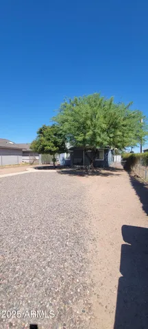 a view of tall trees with a yard