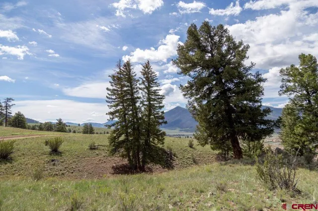 a view of a yard with wooden fence