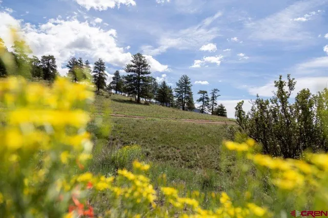 $199,000 | 730 Cliff View Drive, Creede, CO 81130